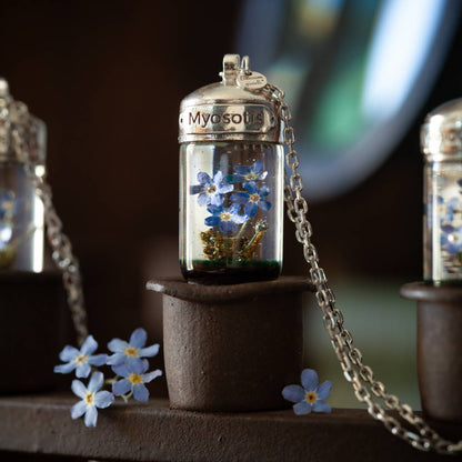 Terrarium - Myosotis