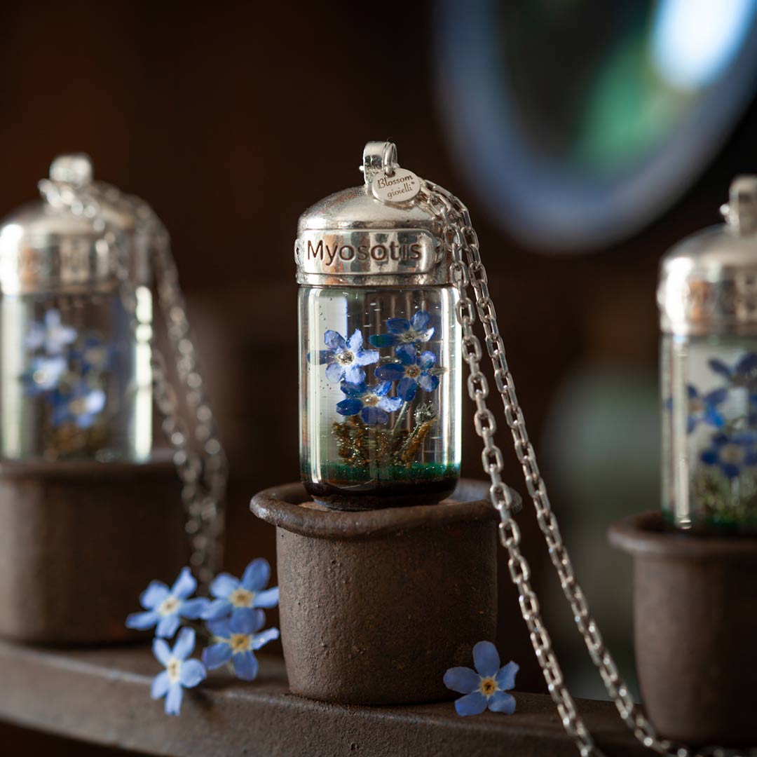 Terrarium - Myosotis