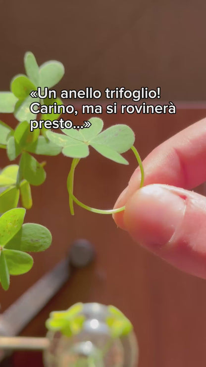 Four Leaf Clover Ring